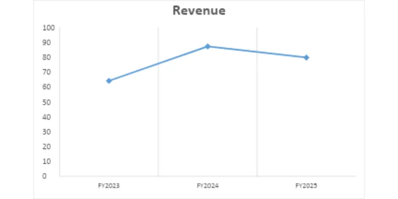 Income Statement Analysis